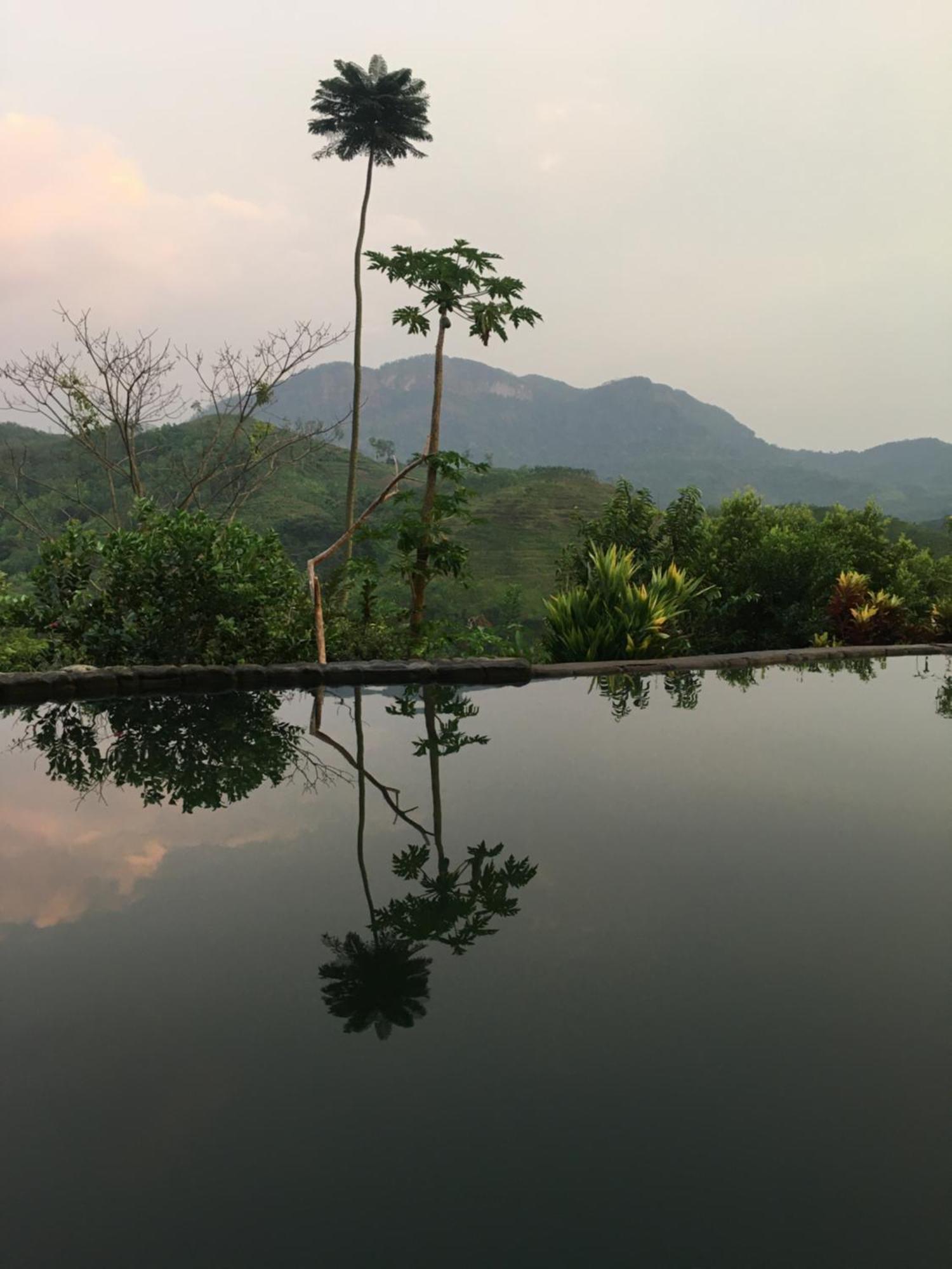 Paradise Eco Garden Китулгала Экстерьер фото