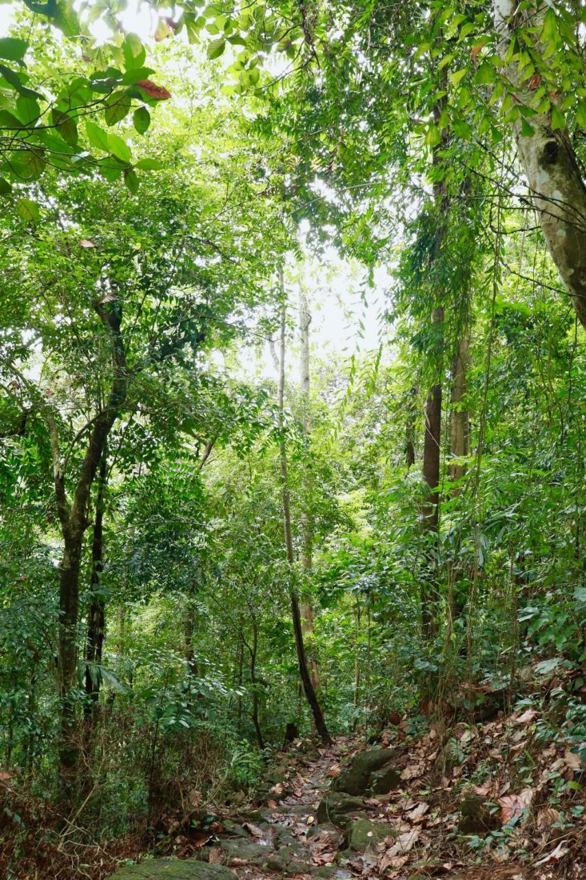 Paradise Eco Garden Китулгала Экстерьер фото