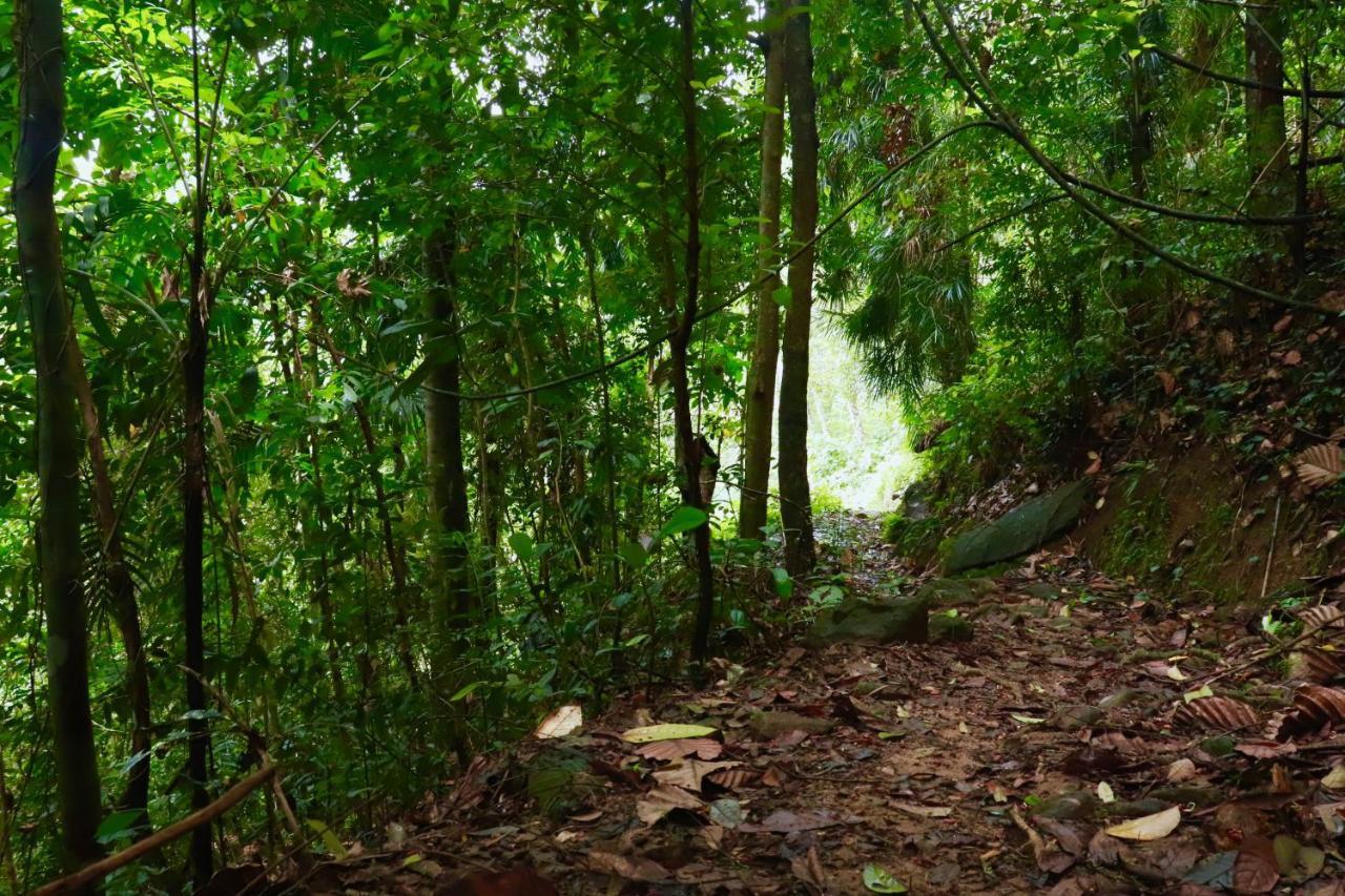Paradise Eco Garden Китулгала Экстерьер фото
