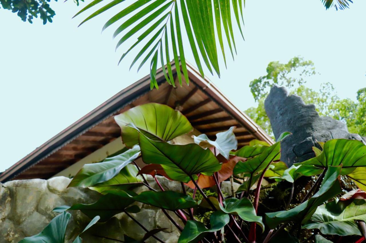 Paradise Eco Garden Китулгала Экстерьер фото