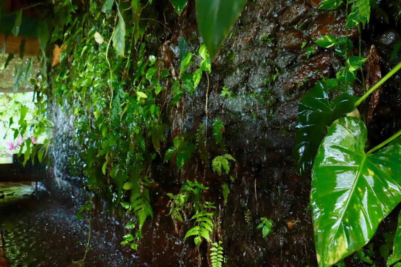 Paradise Eco Garden Китулгала Экстерьер фото