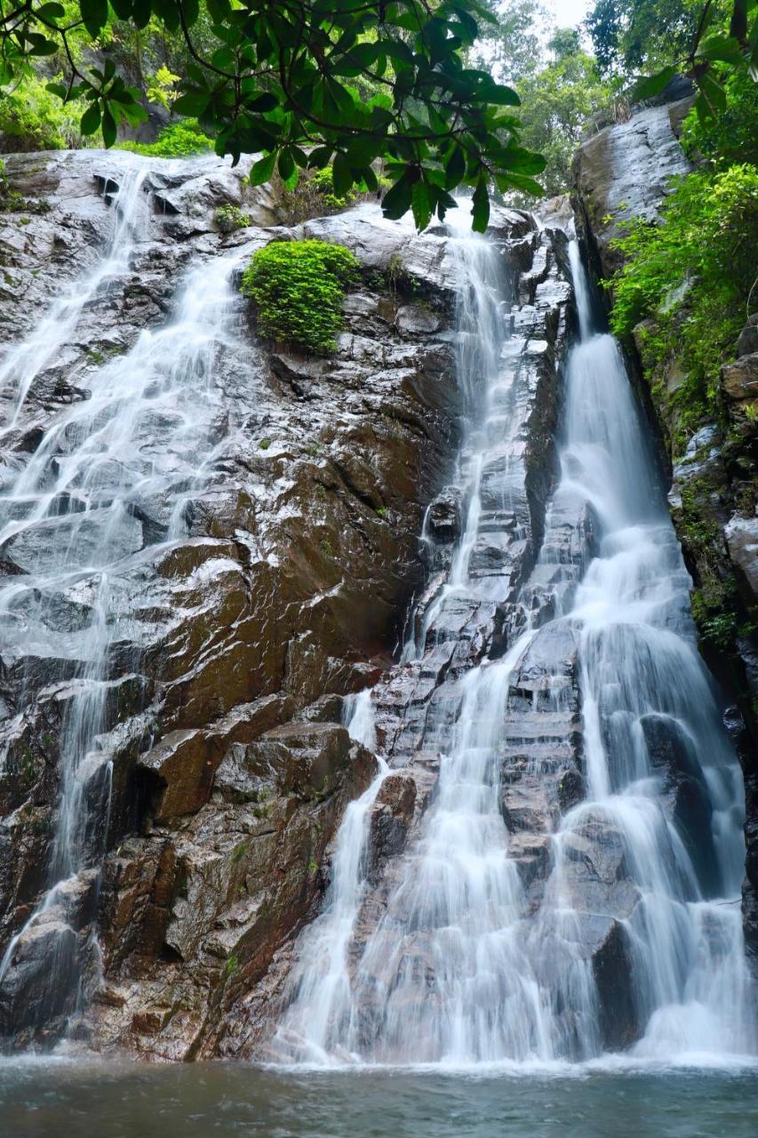 Paradise Eco Garden Китулгала Экстерьер фото