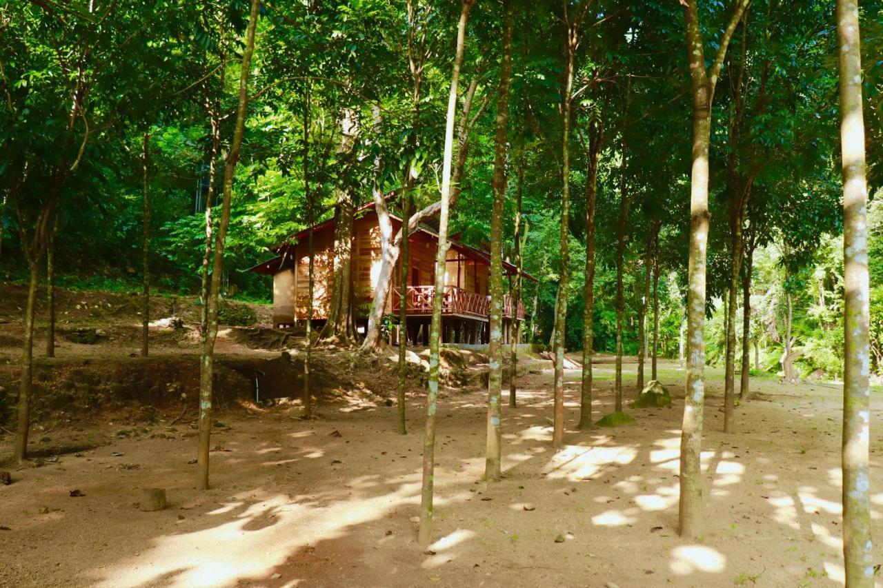 Paradise Eco Garden Китулгала Экстерьер фото