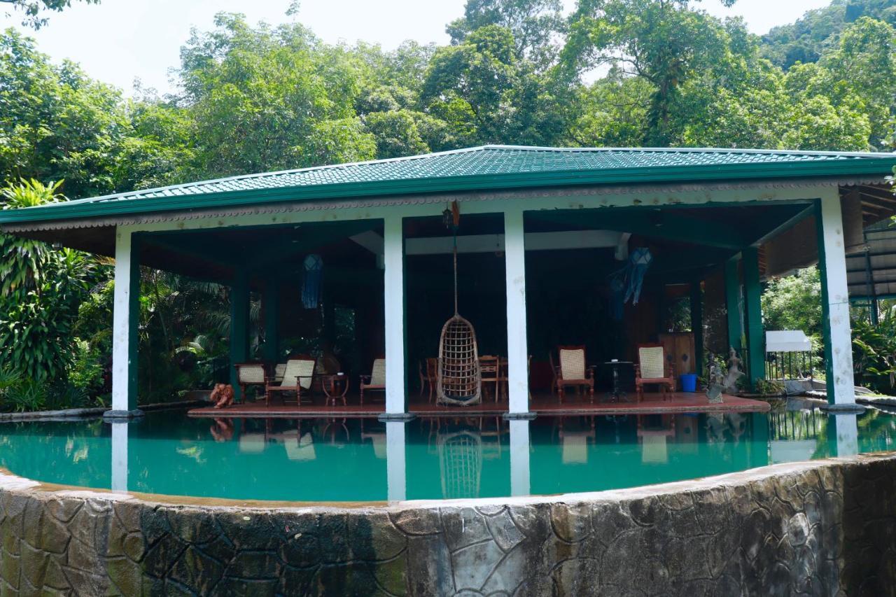 Paradise Eco Garden Китулгала Экстерьер фото