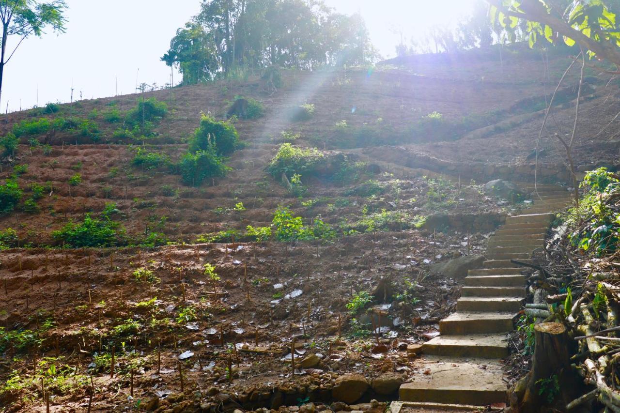 Paradise Eco Garden Китулгала Экстерьер фото